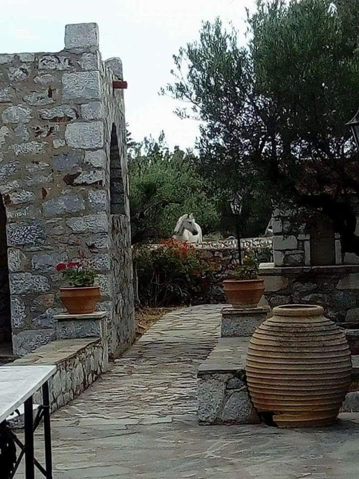 Pírgos Dhiroú Charouda Stone Tower Xenonas 아파트 외부 사진